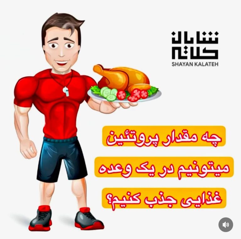 پروتئین